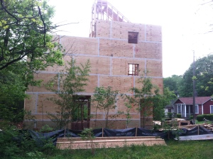 The first wall is completely sheathed, you can see the treated plywood strip at the bottom